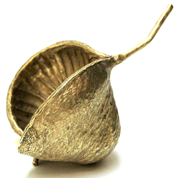 Brass Cast Pod