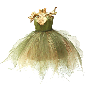Dress Study #2