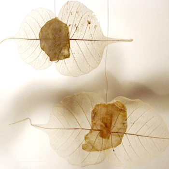Mica Fairy