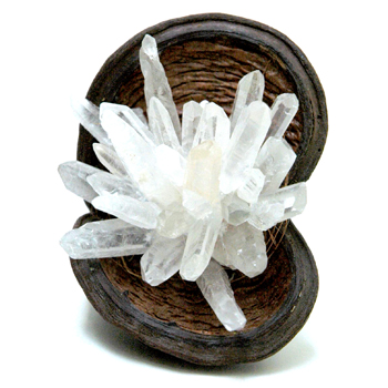 Crystal Pod